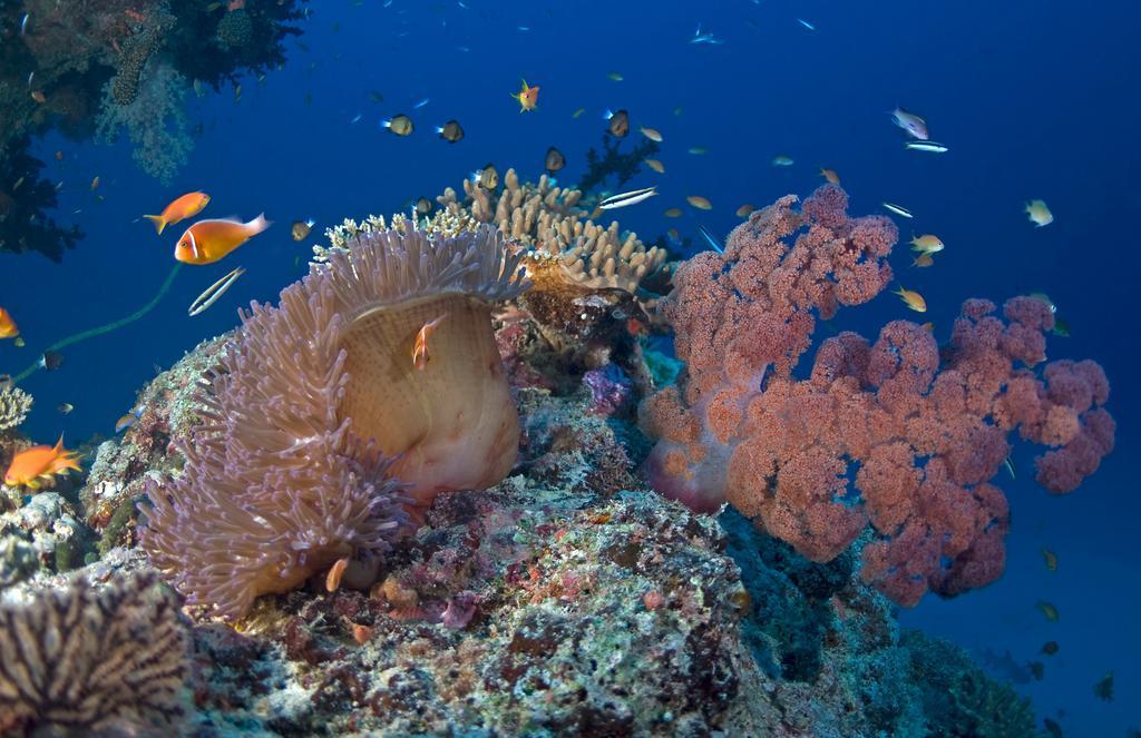 Emaho Sekawa Resort Savusavu Luaran gambar